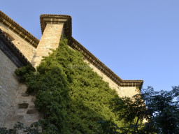 Castillo de Moratalla 2015